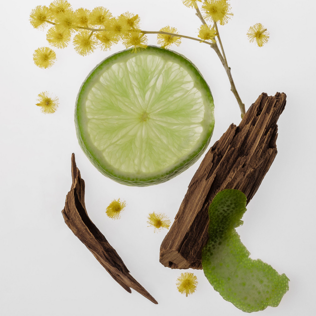 What Is Natural Fragrance?